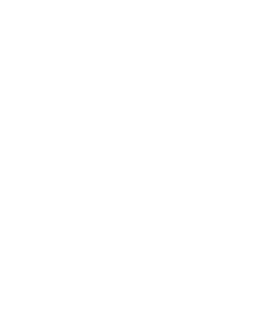 Enterprise Consulting